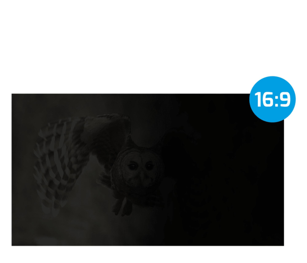 NATEC Filtr prywatyzujący RODO OWL 23,8" 16:9 NFP-1477 - 1370616 - zdjęcie 3